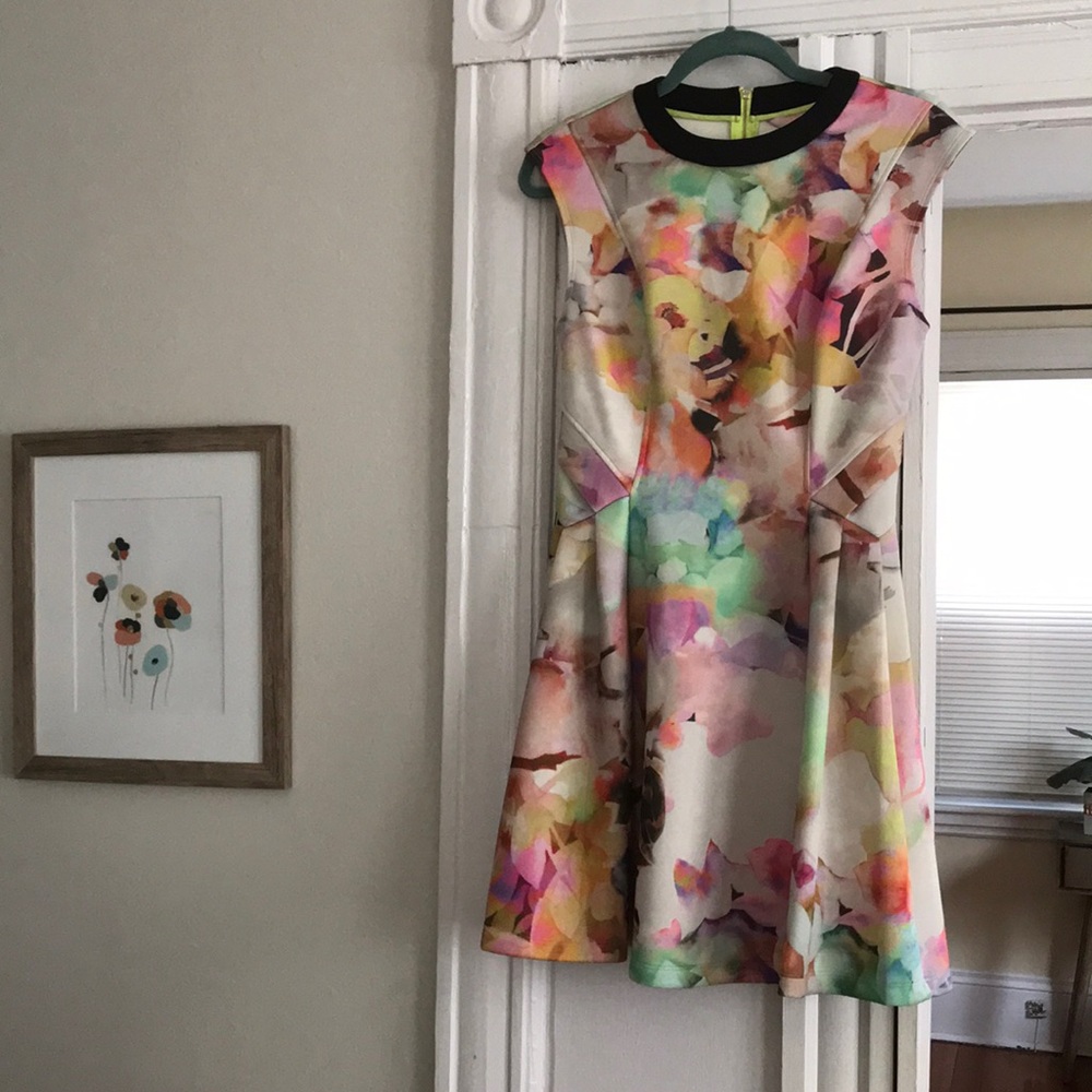 Ted Baker London Multicolor Floral Watercolor Dress with Black Trim